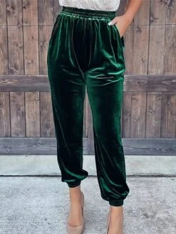 Women's Sweatpants Joggers Pants Trousers Full Length Velvet Pocket Micro-elastic High Waist Fashion Streetwear Party Street Dark Brown Black S M Fall & Winter