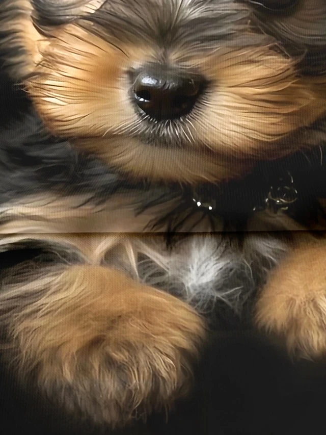 Women's T Shirt Tee Black Dog 3D Print Short Sleeve Daily Weekend Basic Round Neck Regular Fit Painting 2 Women's T Shirt Tee Black Dog 3D Print Short Sleeve Daily Weekend Basic Round Neck Regular Fit Painting - Image 2